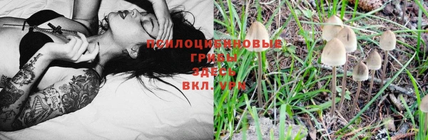 мет Корсаков